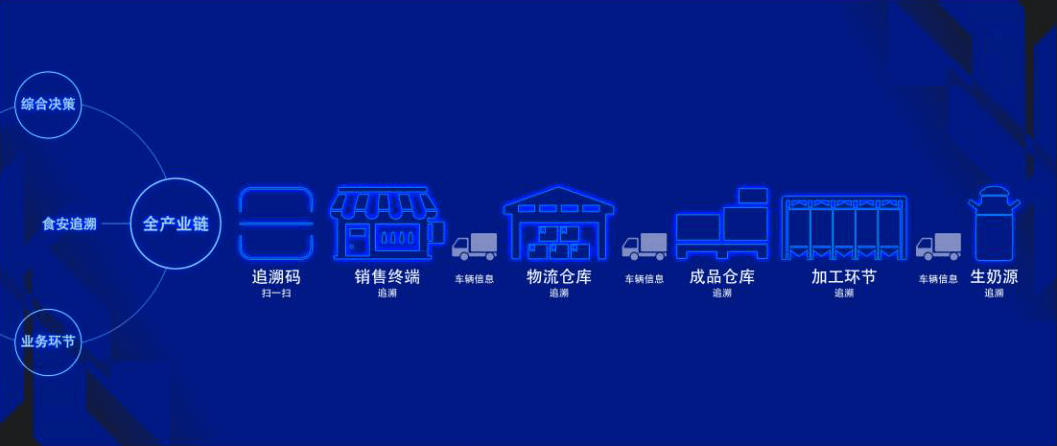 圖片8